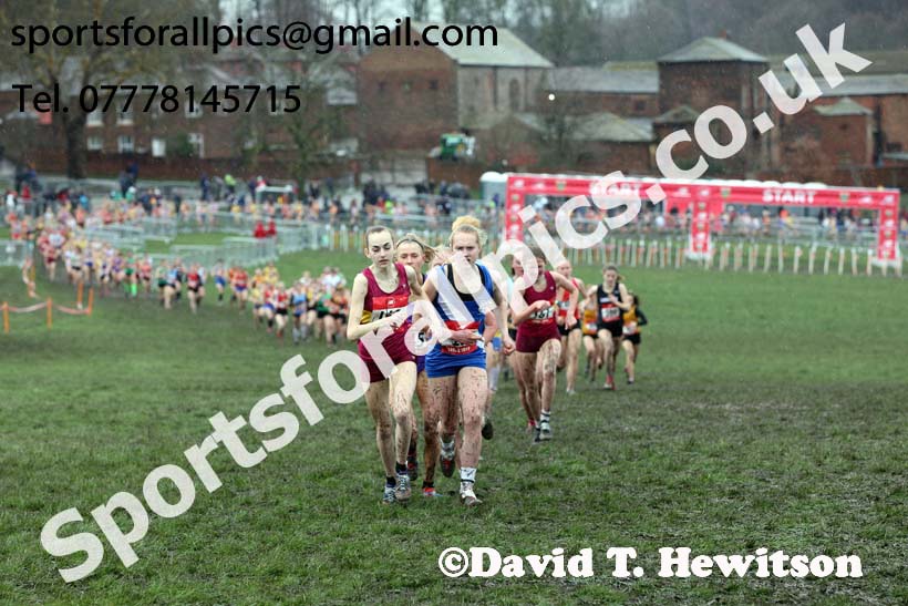 Senior girls 2019 New Balance English Schools Cross Country Champs, Temple Newsam, Leeds. Photo:  David T. Hewitson/Sports for All Pics